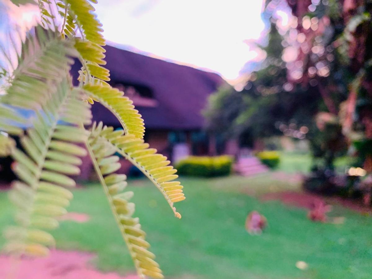 Farm Vibes Guesthouse Brits Exterior foto